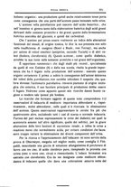 giornale/CFI0354704/1916/unico/00000787