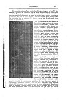 giornale/CFI0354704/1918/unico/00000215