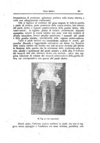 giornale/CFI0354704/1918/unico/00000543