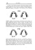 giornale/CFI0354704/1924/unico/00000448