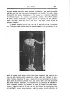giornale/CFI0354704/1924/unico/00000473