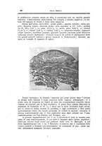 giornale/CFI0354704/1924/unico/00000662