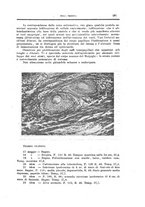 giornale/CFI0354704/1924/unico/00000663