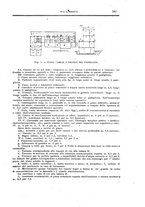 giornale/CFI0354704/1924/unico/00000881