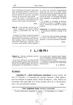 giornale/CFI0354704/1926/unico/00000558