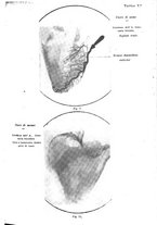 giornale/CFI0354704/1927/unico/00000695