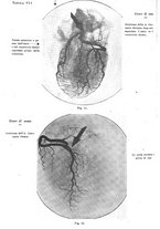 giornale/CFI0354704/1927/unico/00000696