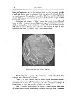 giornale/CFI0354704/1929/unico/00000040