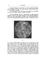 giornale/CFI0354704/1931/unico/00000050