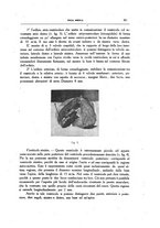 giornale/CFI0354704/1931/unico/00000311