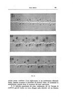 giornale/CFI0354704/1931/unico/00000583