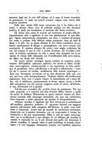 giornale/CFI0354704/1932/unico/00000035