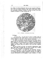 giornale/CFI0354704/1932/unico/00000480