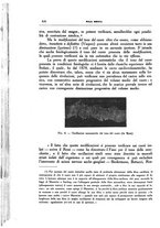 giornale/CFI0354704/1933/unico/00000658