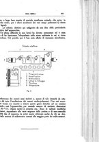 giornale/CFI0354704/1933/unico/00000917