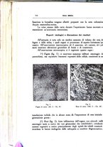 giornale/CFI0354704/1933/unico/00000974