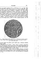 giornale/CFI0354704/1933/unico/00000983