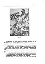 giornale/CFI0354704/1934/unico/00000389