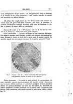 giornale/CFI0354704/1934/unico/00000983