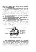 giornale/CFI0354704/1936/unico/00000145