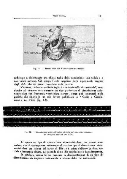 Folia medica periodico trimensile di patologia e clinica medica