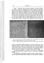 giornale/CFI0354704/1936/unico/00000360