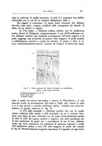 giornale/CFI0354704/1936/unico/00000519