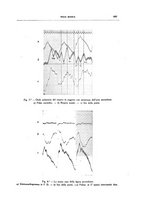 giornale/CFI0354704/1936/unico/00000521