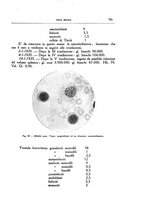 giornale/CFI0354704/1936/unico/00000843