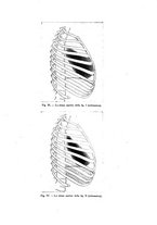 giornale/CFI0354704/1936/unico/00000889