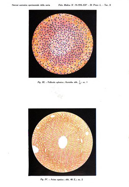 Folia medica periodico trimensile di patologia e clinica medica