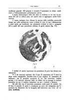 giornale/CFI0354704/1937/unico/00000031