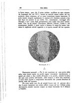 giornale/CFI0354704/1937/unico/00000246