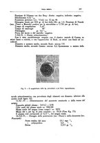 giornale/CFI0354704/1937/unico/00000281