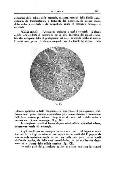 Folia medica periodico trimensile di patologia e clinica medica