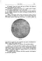 giornale/CFI0354704/1937/unico/00000765