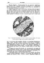 giornale/CFI0354704/1937/unico/00001086