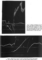 giornale/CFI0354704/1937/unico/00001129