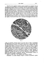 giornale/CFI0354704/1937/unico/00001183