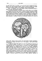 giornale/CFI0354704/1937/unico/00001184