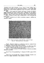 giornale/CFI0354704/1938/unico/00000209