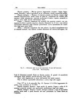 giornale/CFI0354704/1938/unico/00000210