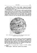 giornale/CFI0354704/1938/unico/00000213