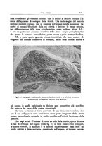 giornale/CFI0354704/1938/unico/00000489