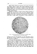 giornale/CFI0354704/1938/unico/00000500