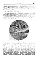 giornale/CFI0354704/1938/unico/00001005