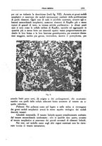 giornale/CFI0354704/1938/unico/00001393