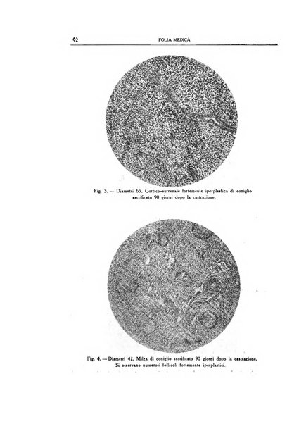 Folia medica periodico trimensile di patologia e clinica medica