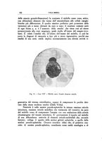 giornale/CFI0354704/1939/unico/00000420