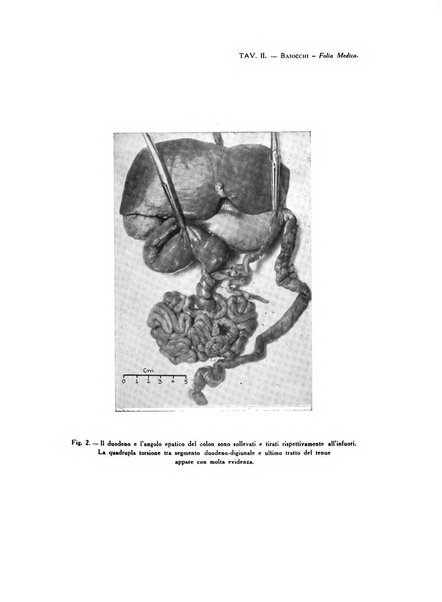 Folia medica periodico trimensile di patologia e clinica medica